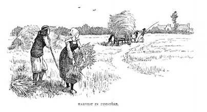 iStock-183804315.jpg
