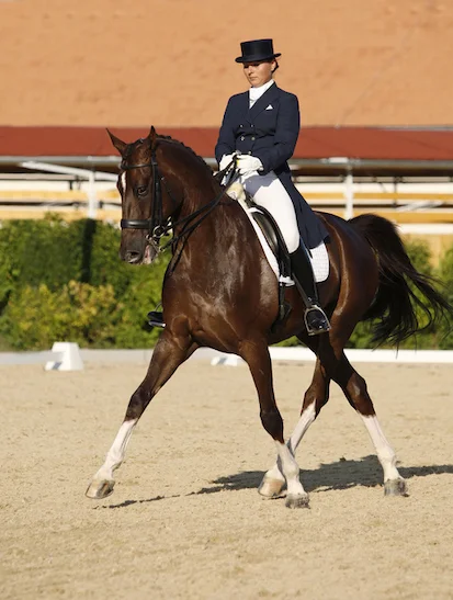 In dressage, the horse and rider must move sideways ©iStock
