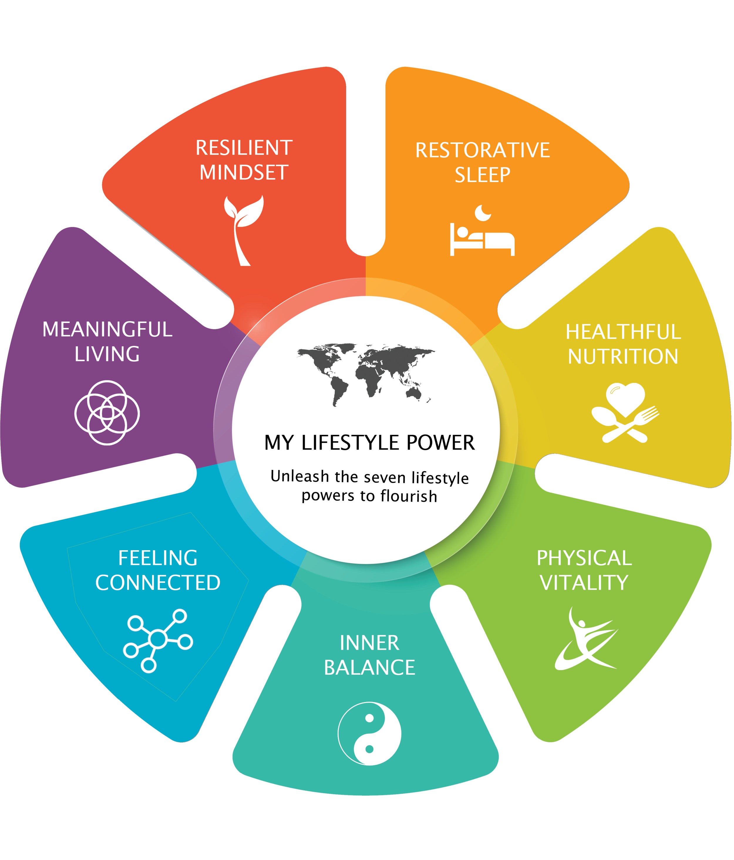 My Lifestyle Power Assessment - Transformative Insights