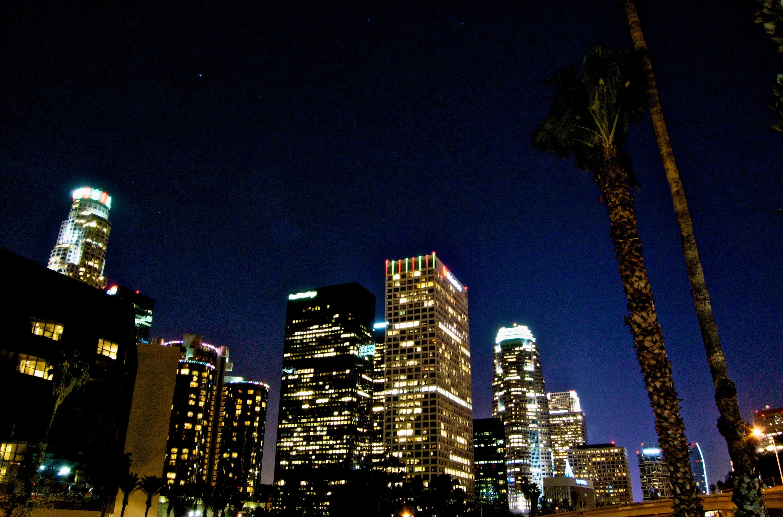 DSC_0065.jpg
