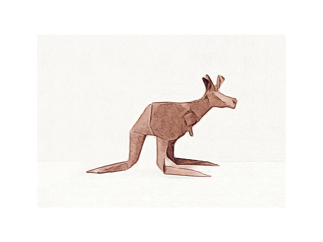 Kangaroo-web.jpg