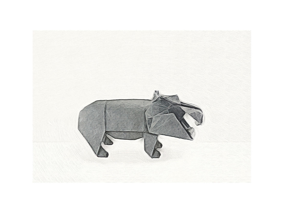 Hippo-web.jpg