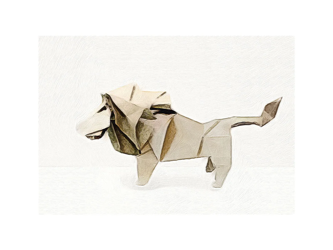 Lion-web.jpg