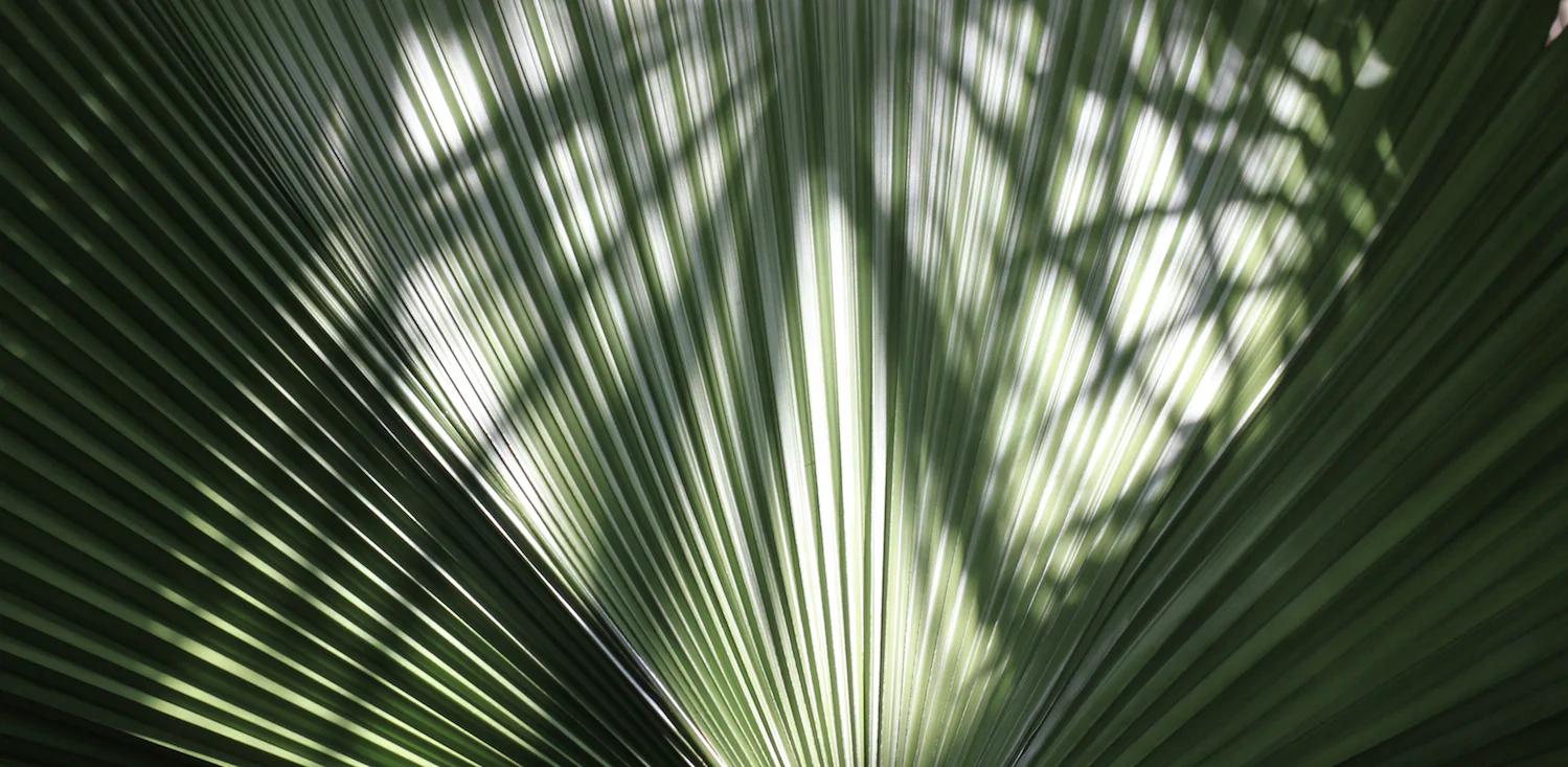 IMG_5783 copy cropped.jpg