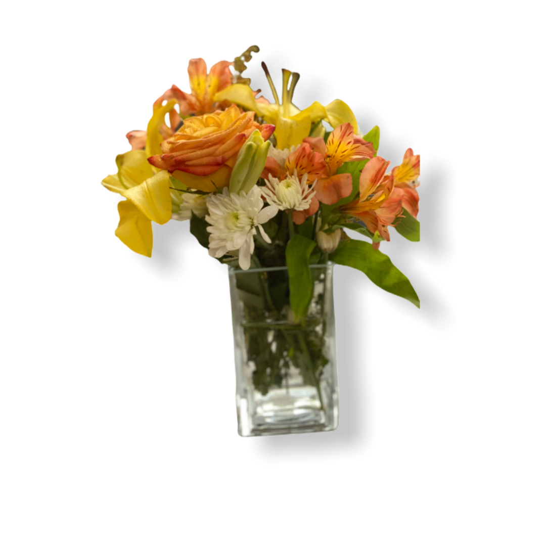 9B7DCFC0-F78B-4195-8CA3-EA6C79D559F4