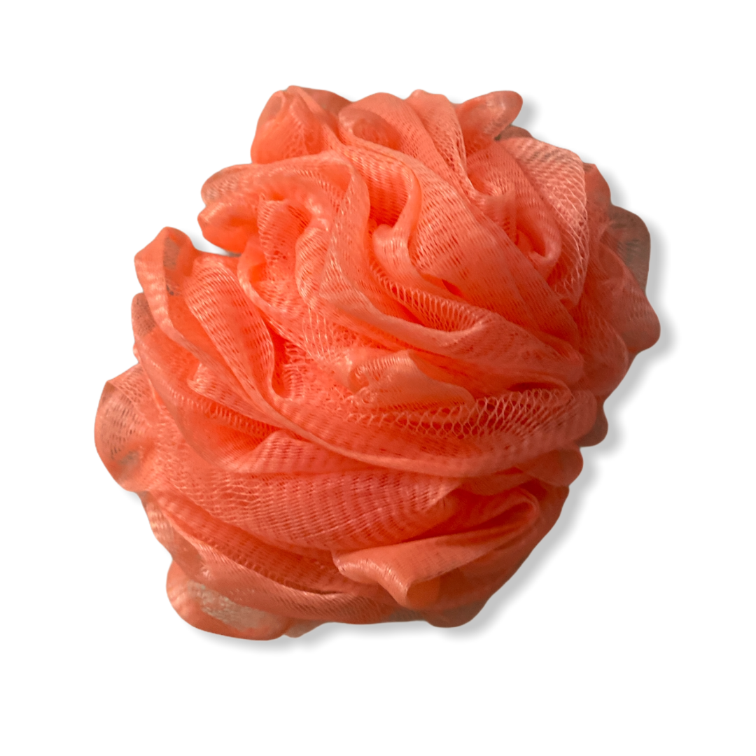 2499FE31-A1A0-4E22-8F17-FC695BDA81A8