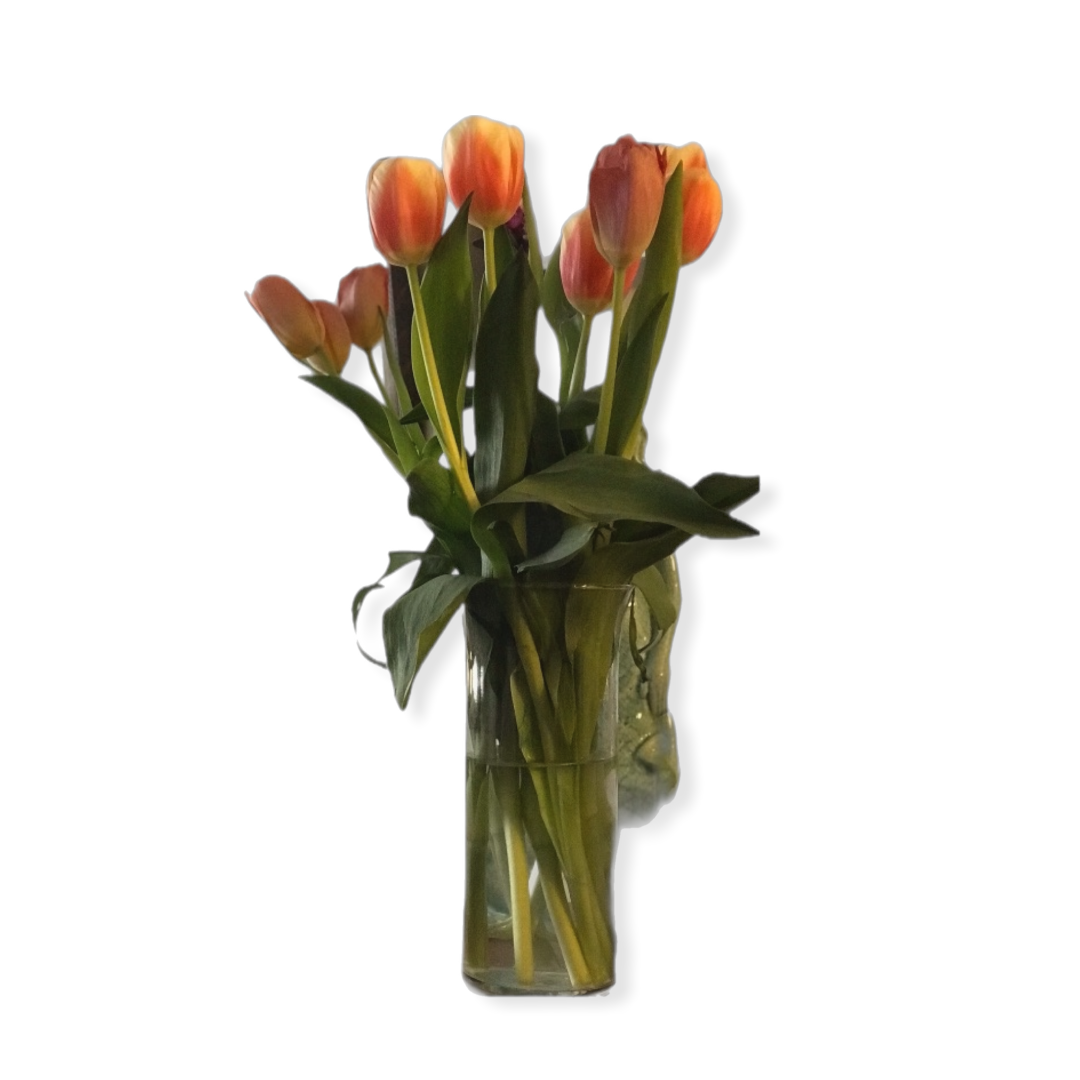 D7F7F269-1EA6-4BE3-9925-35D82AEE9D32