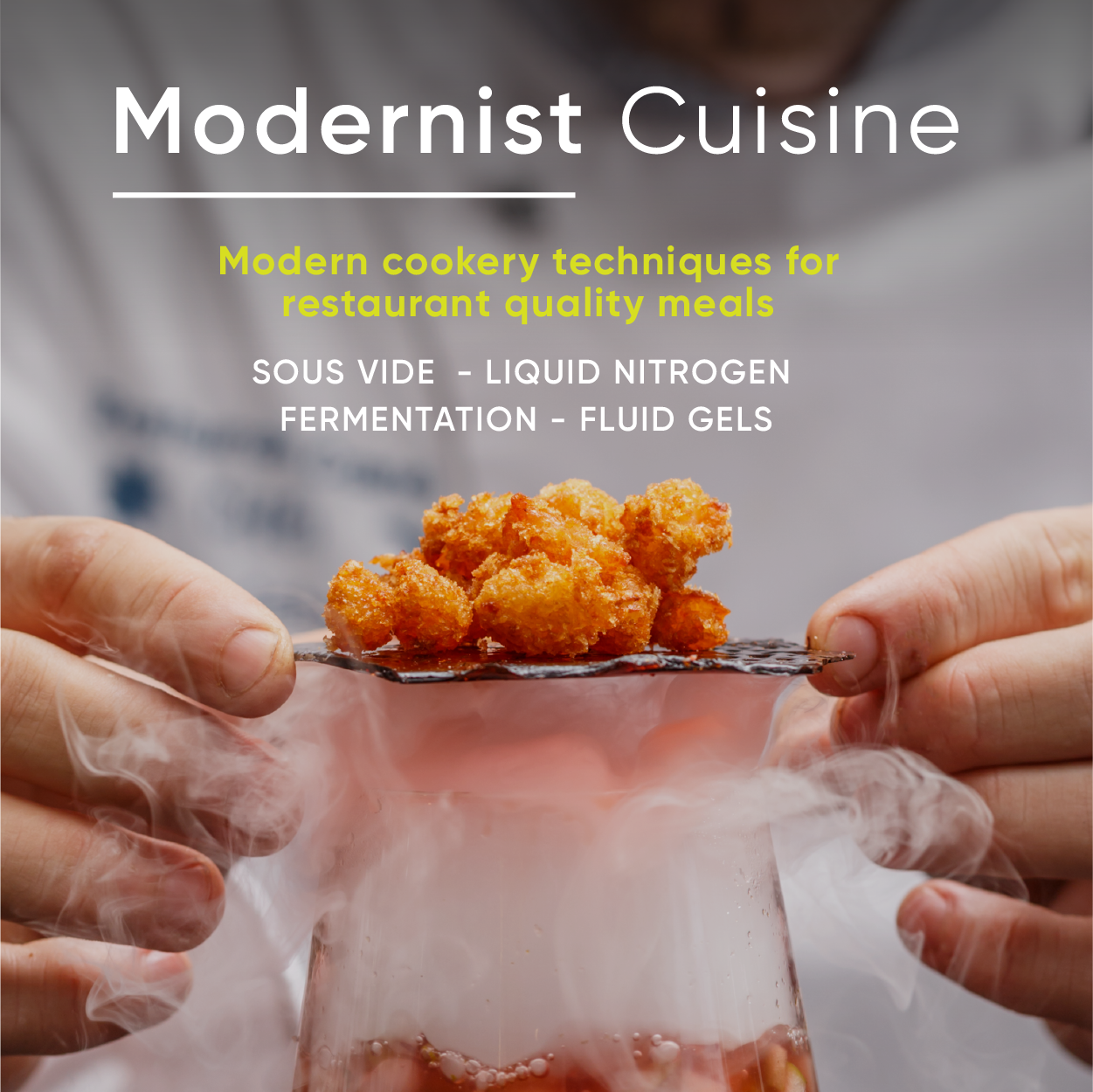 Modernist CuisineV2-01.png
