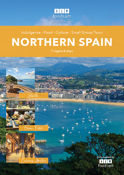 NthSpain_brochure_2025_500px.png