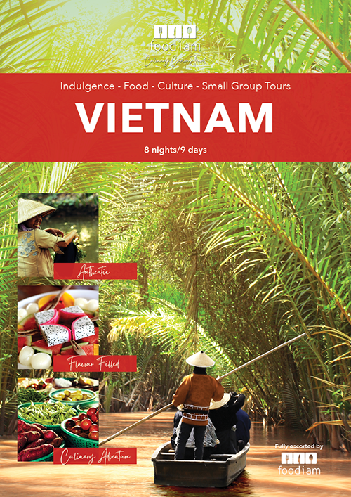 VietnamBrochure_GenericCover_500px.png