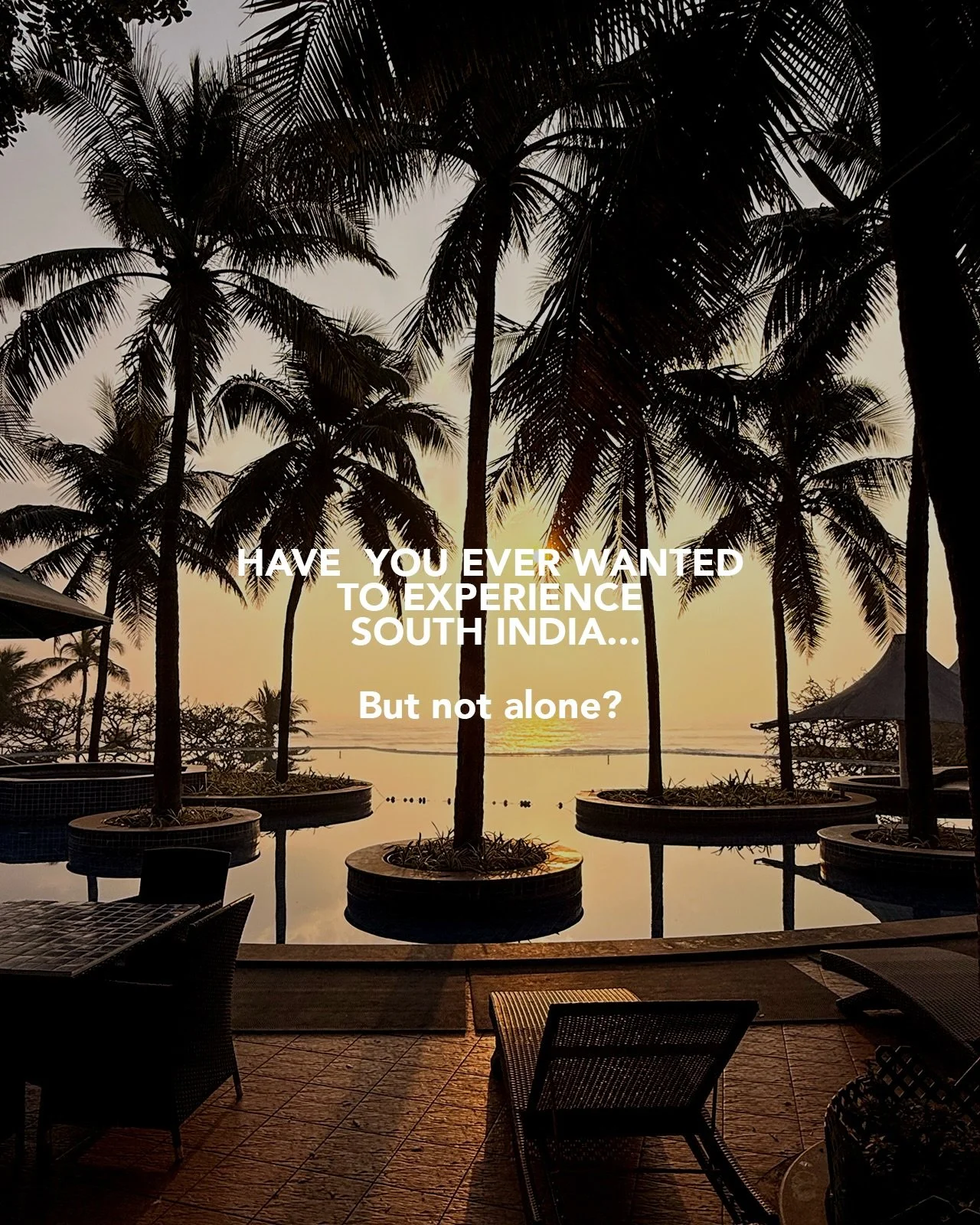 Arriving in Kerala, South India feels like stepping into another world. Life flows differently, slower, softer, calmer.

The noise fades, and in its place comes birdsong, paddling boats, and the quiet rustle of palm leaves.

People live by the water.