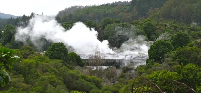 Roaring Rotorua
