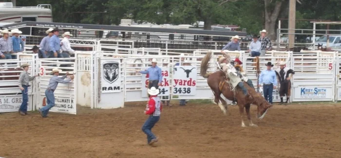 My First Rodeo