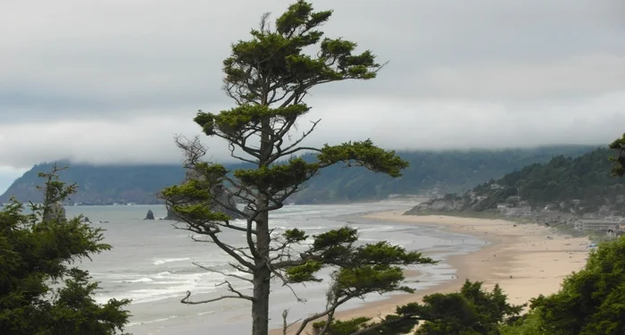 Oregon's East Coast Preview