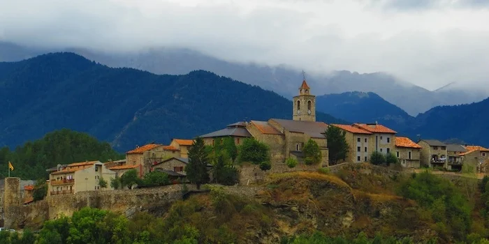 The Amazing Pyrenees