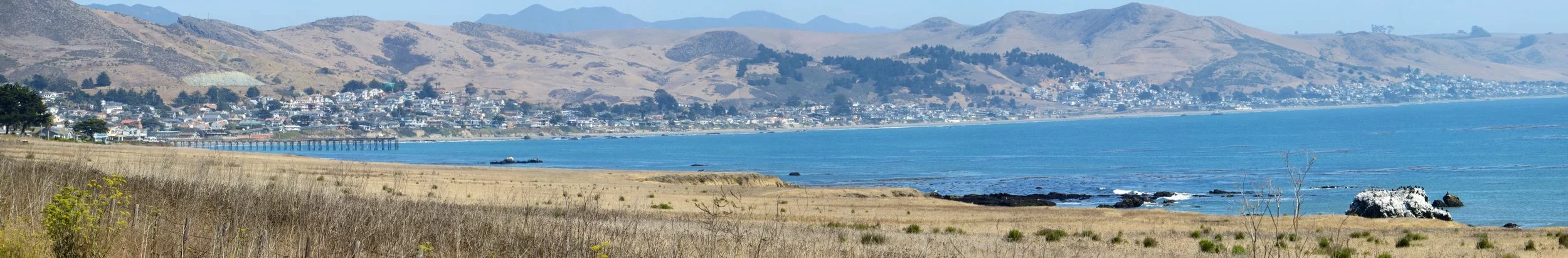 Case of the Mondays #13: Morro Bay