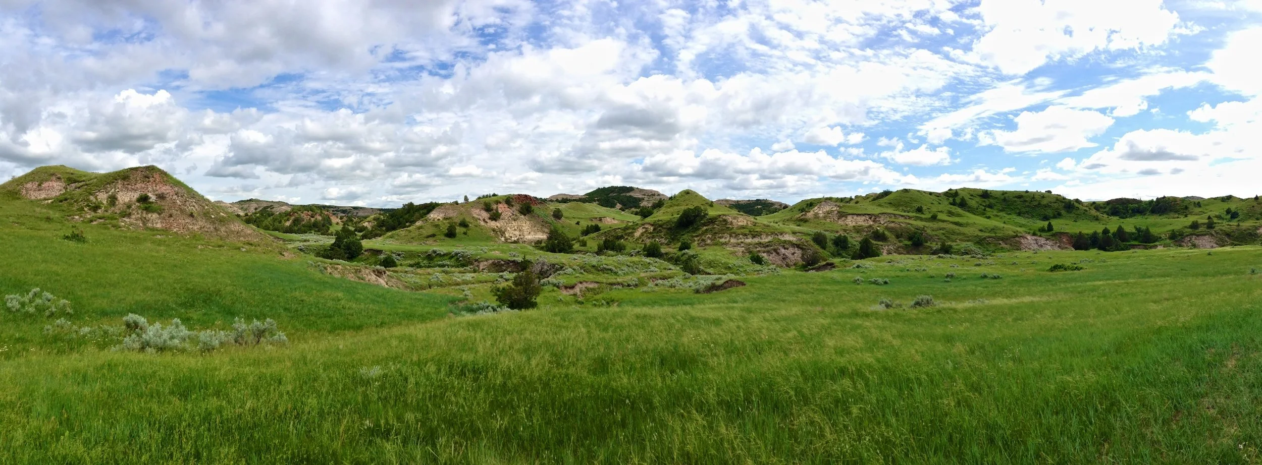 Case of the Mondays #25: North Dakotan Badlands