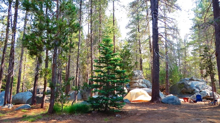 Yosemite Adventures - Finding a Campground