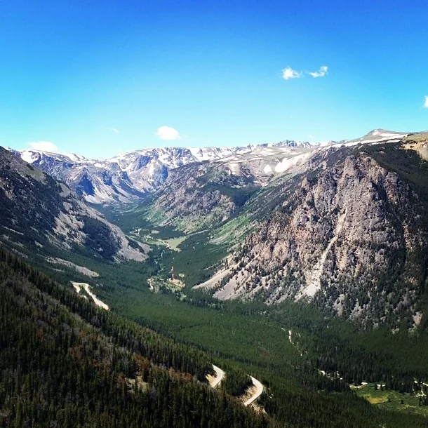 I'm a Winner! Thanks to Instagram.