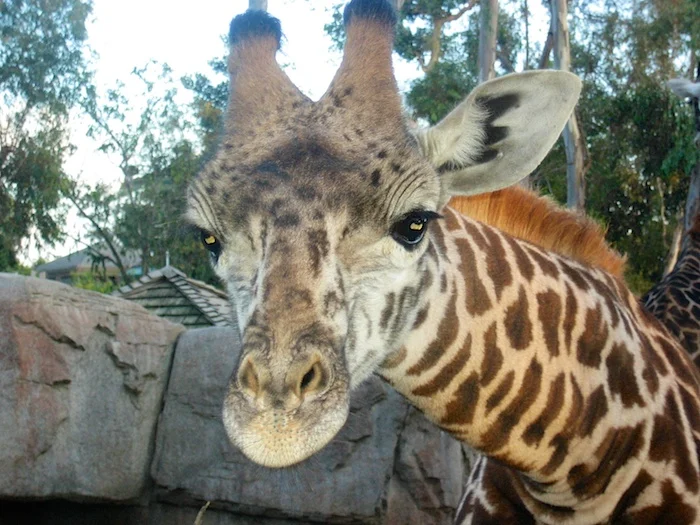 Million Miles, Jelly Beans and San Diego