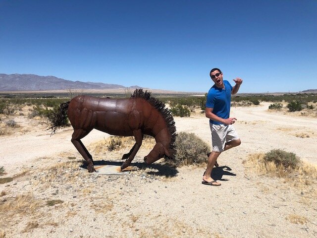 2020 birthday San diego anzo borrego statues horse