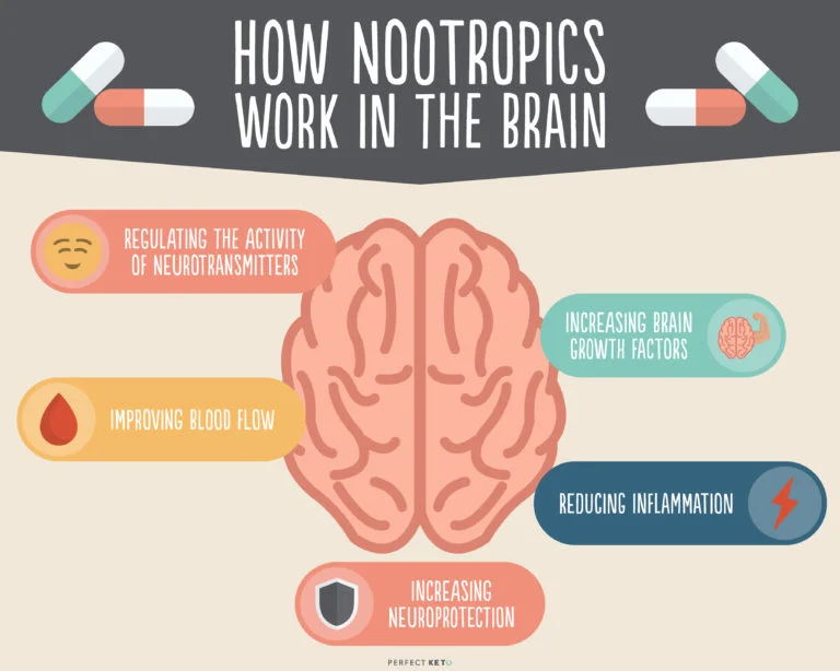 how-nootropics-work-in-the-brain-768x614.jpg