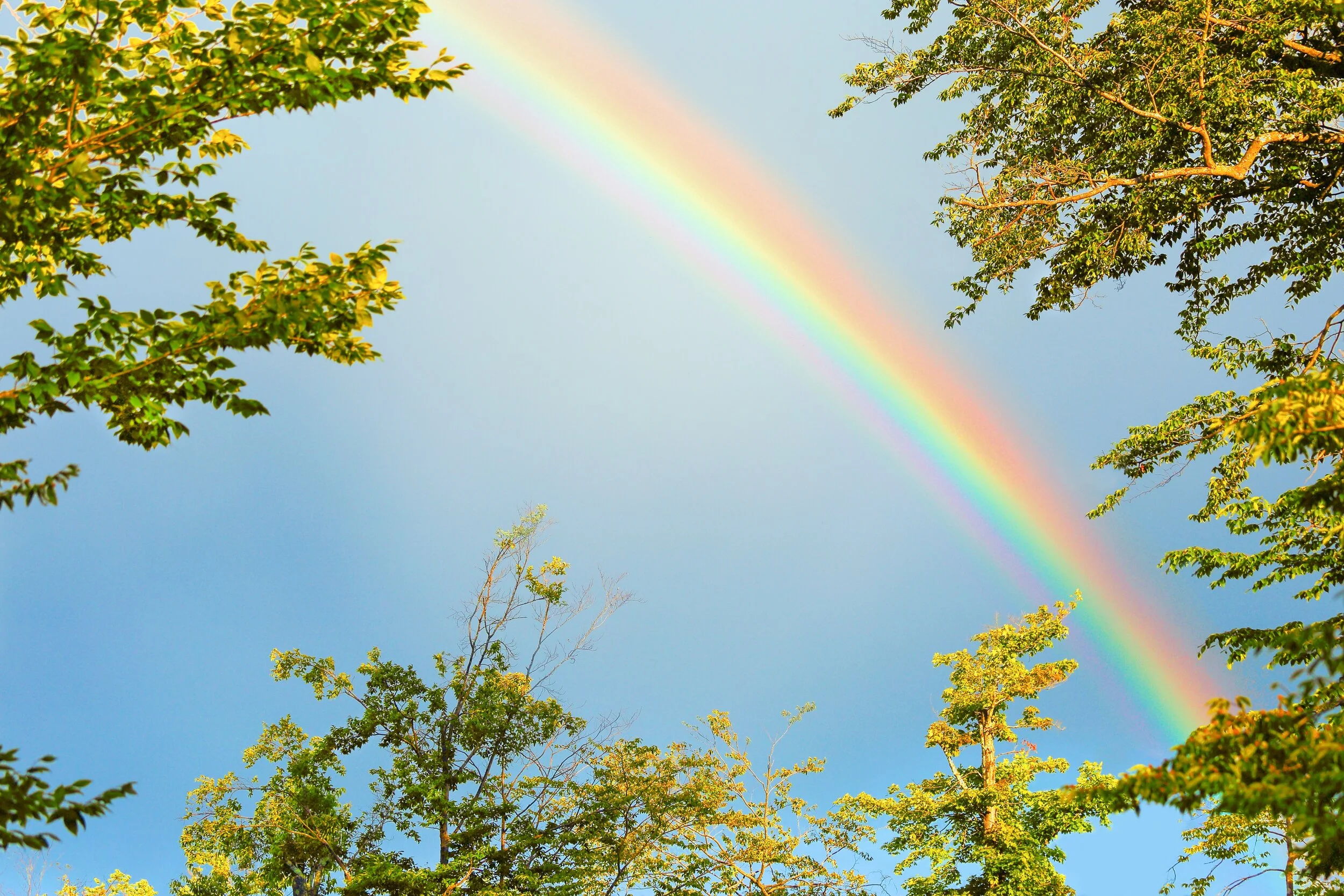 IMG_8569a  retouchup.JPG