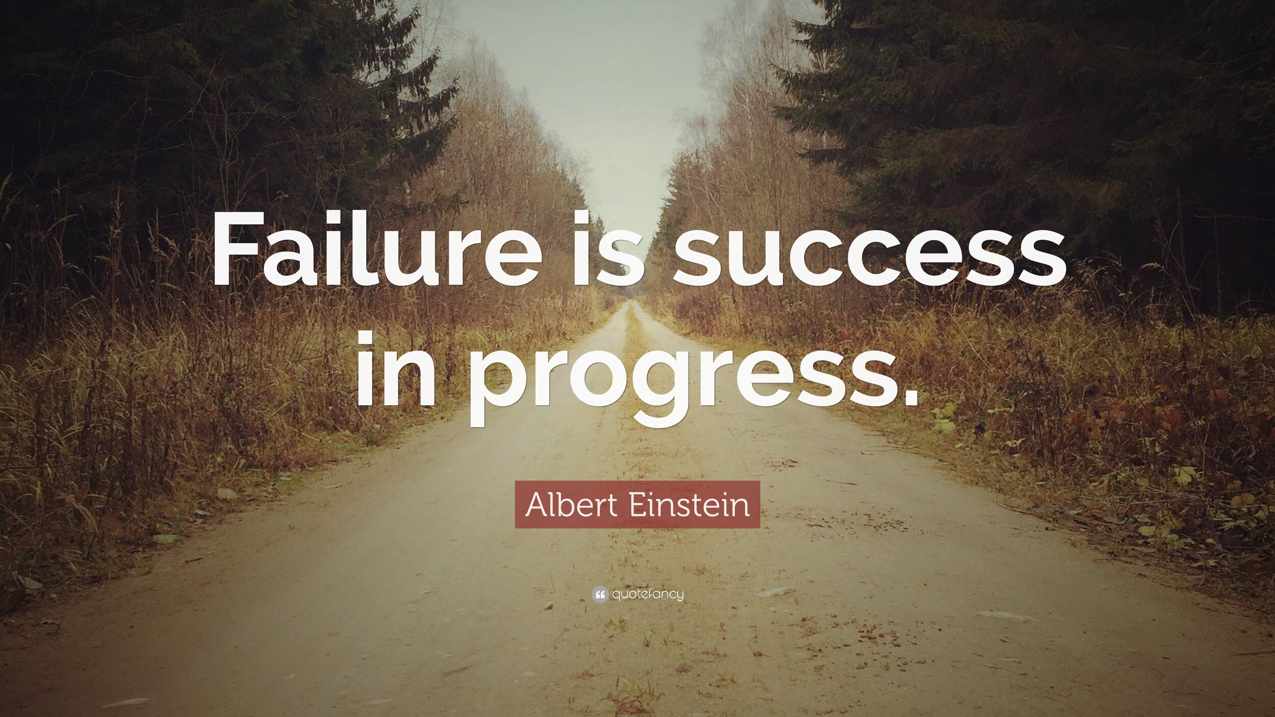 442561-Albert-Einstein-Quote-Failure-is-success-in-progress.jpg