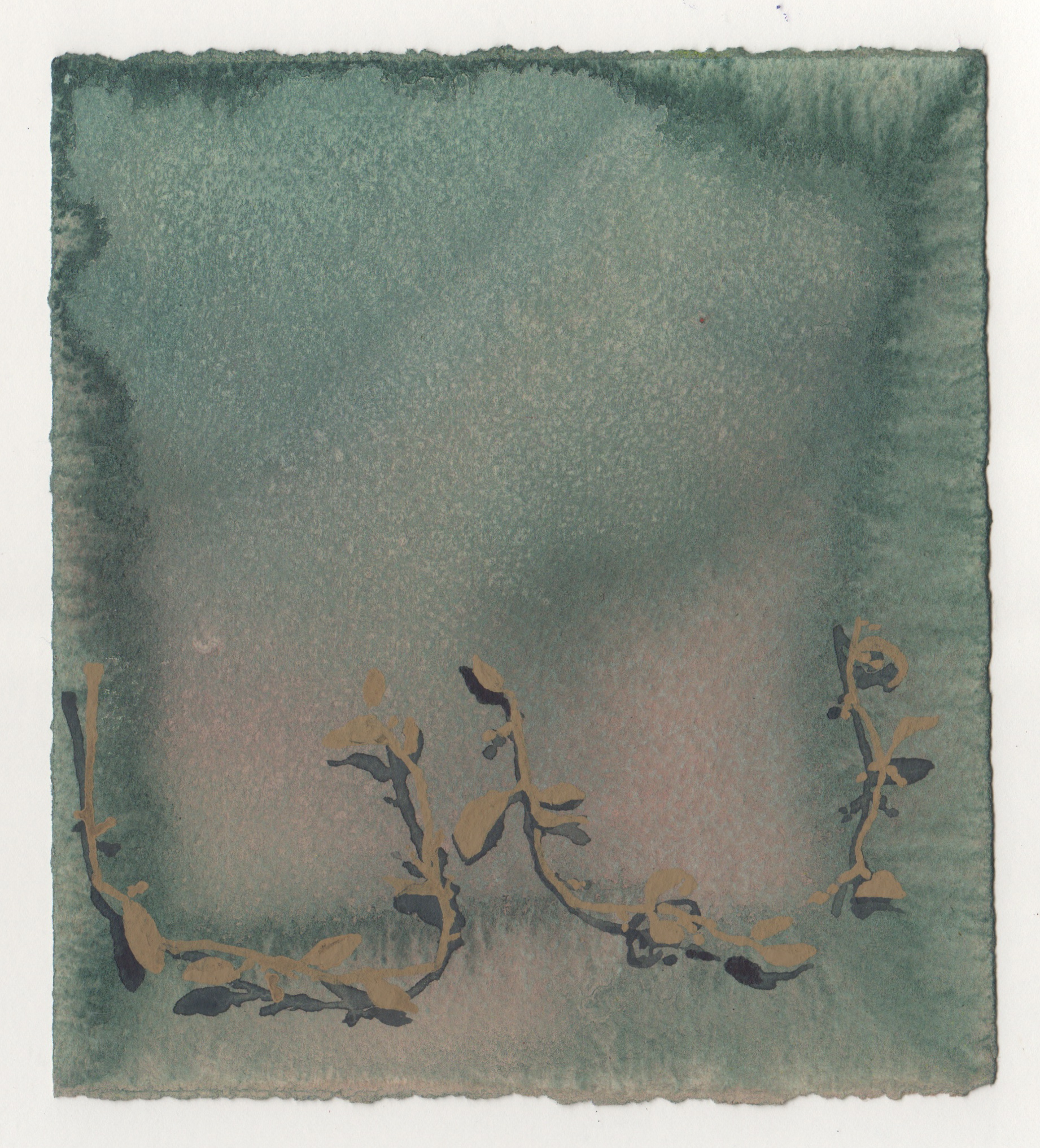 Mistletoe III | watercolor and gouache on paper | 5 1/2 x 6 inches | 2014
