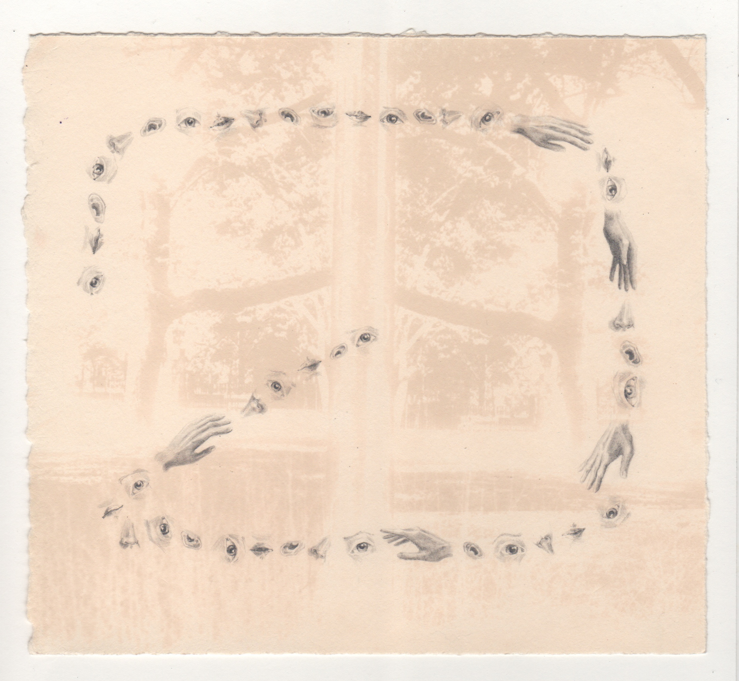 Senses | gum bichromate and graphite on paper | 7 1/2 x 7 inches | 2014