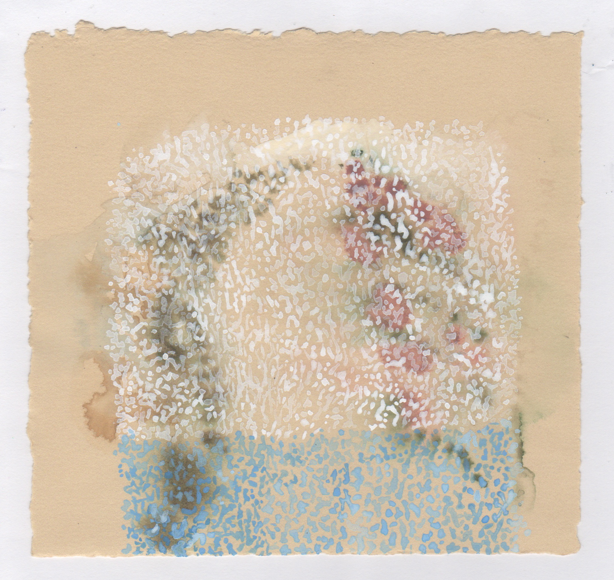Tres Orejas | Watercolor, gouache and acrylic on paper | 6 x 5 1/2 inches | 2014