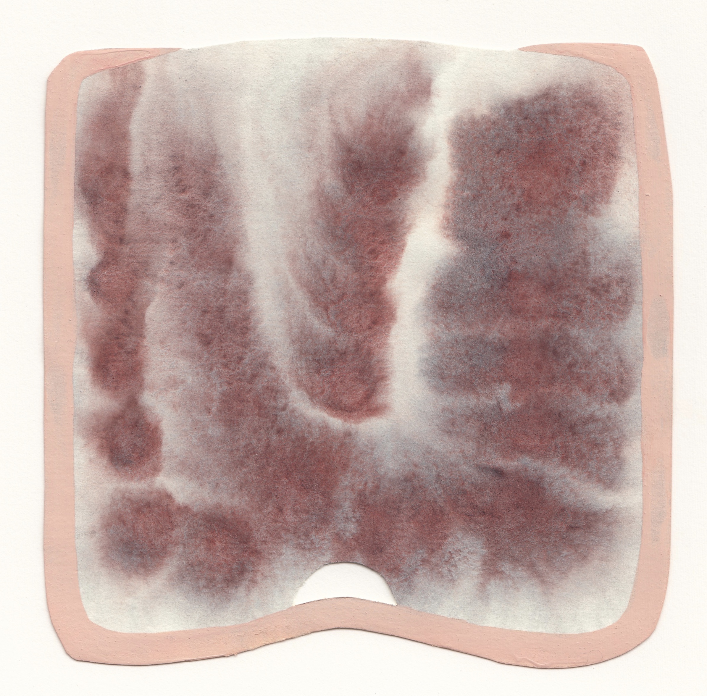 Flabellum | watercolor and gouache on paper | 5 ½ x 5 inches | 2018