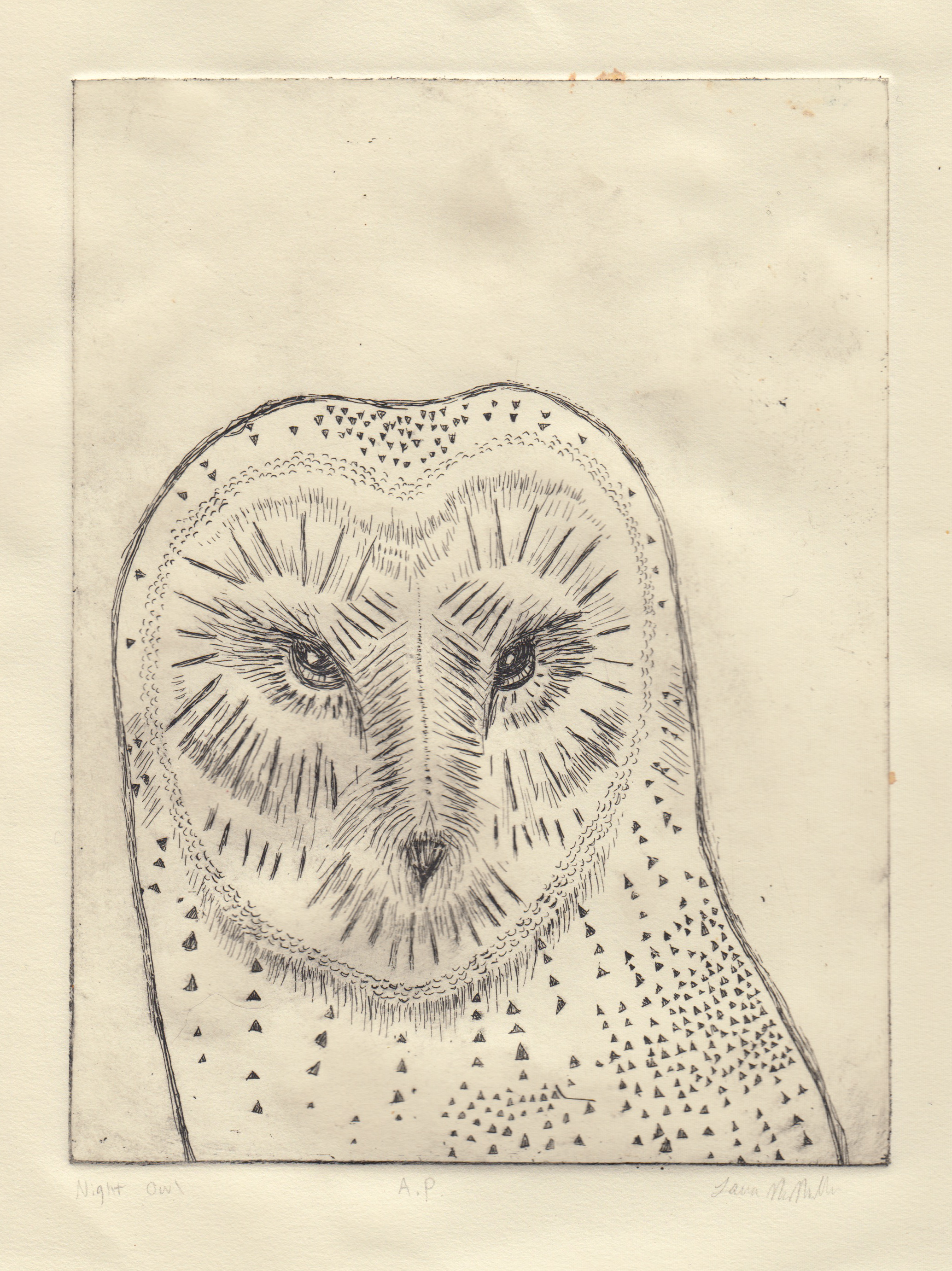 owl-intaglio-printmaking.png