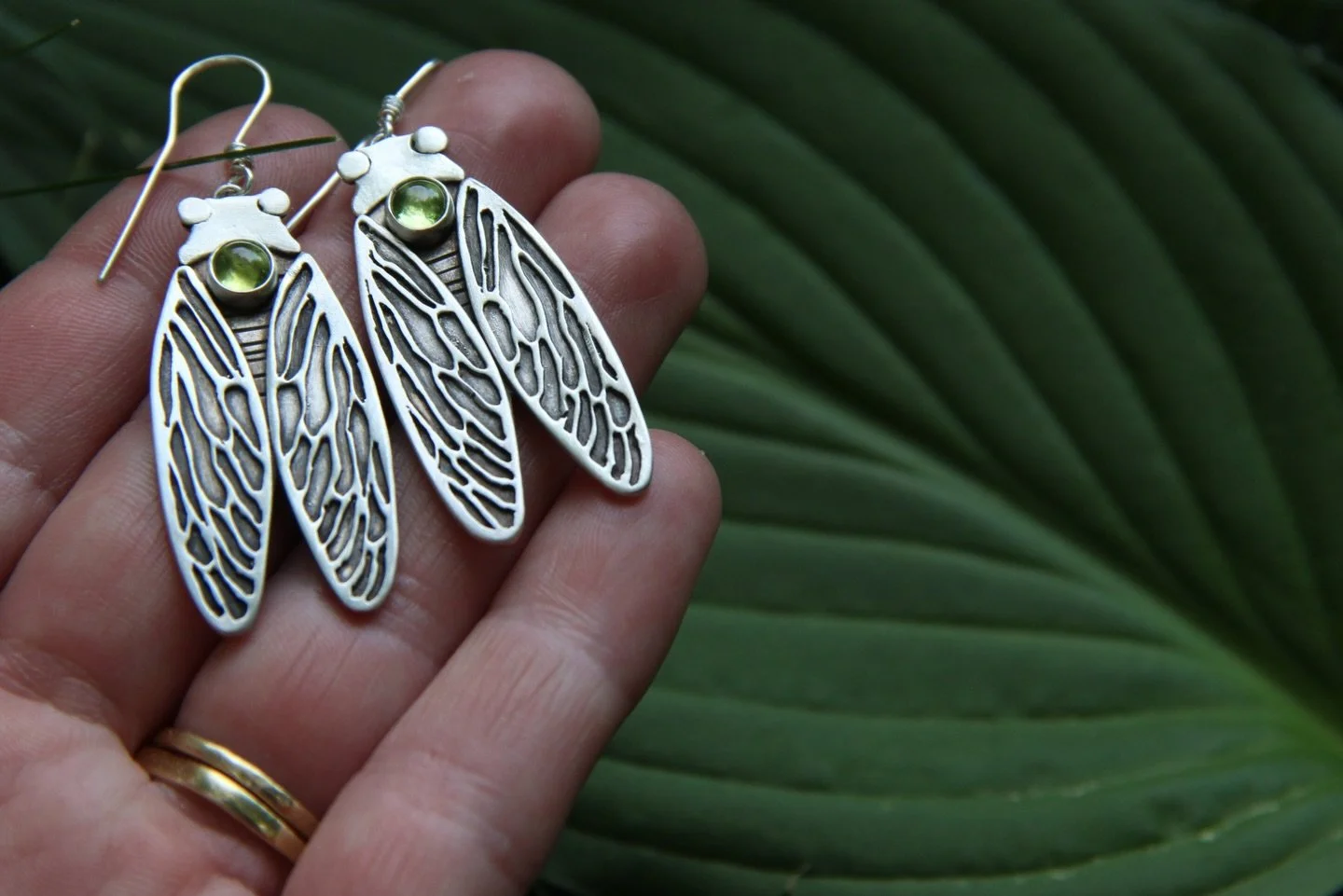 Cicadas anyone?

Hand sawn with a whole lot of love. 

Happy Friday to all you wierd and wonderful beings💚