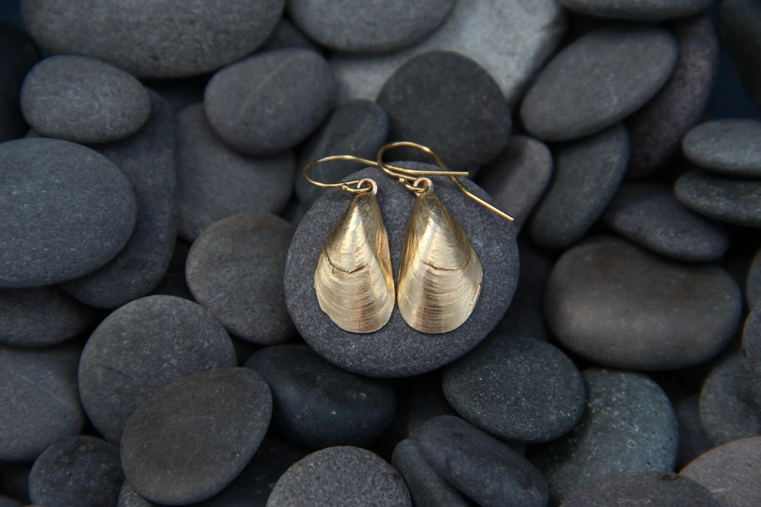 Brass Mussel Shells - Drop Earrings