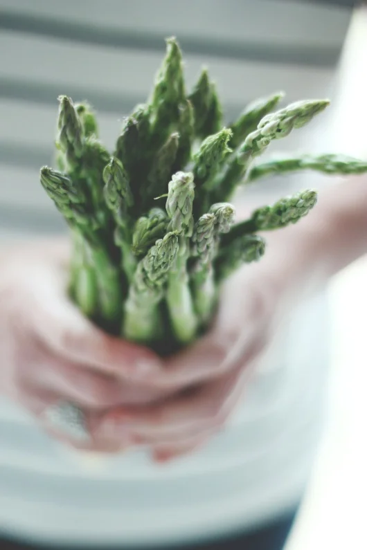 IN SEASON:  Asparagus
