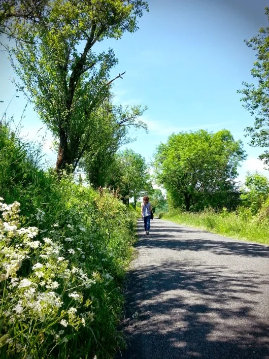 A walk in the countryside . . .