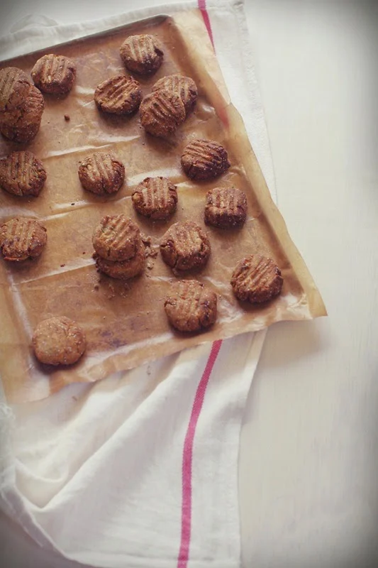 Local Birds + A Walnut Biscuit