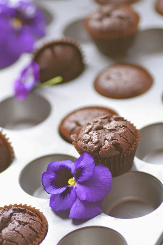 The Petite Chocolate Cupcake