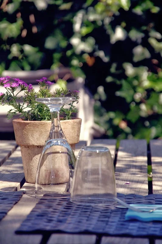 l'Acacia en Provence !