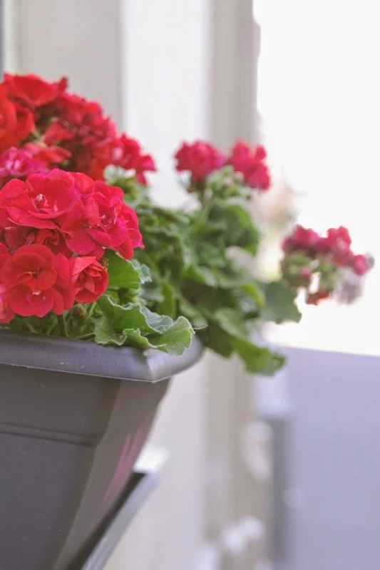 The day we walked 20km . . .