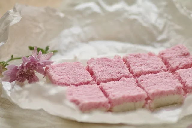 Coconut Ice - Fructose Free