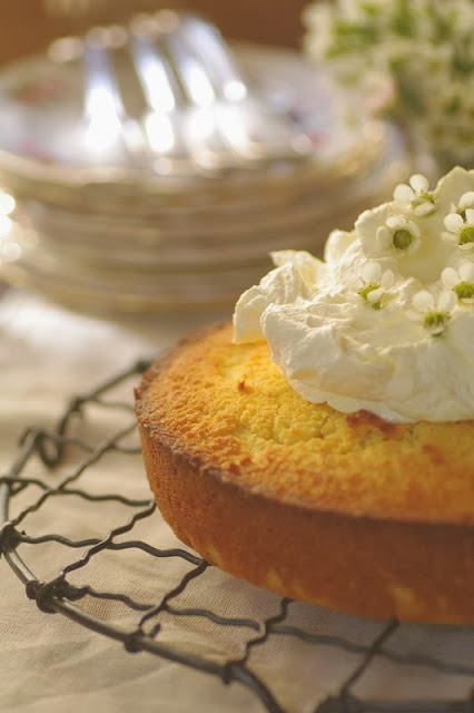 My first cake in 3 months . . .