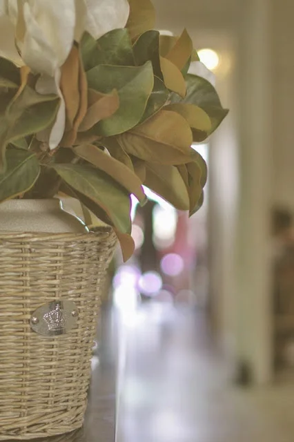 Hello from Queensland !