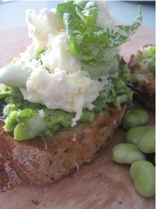 The Cookbook Challenge No. 4:  Beans