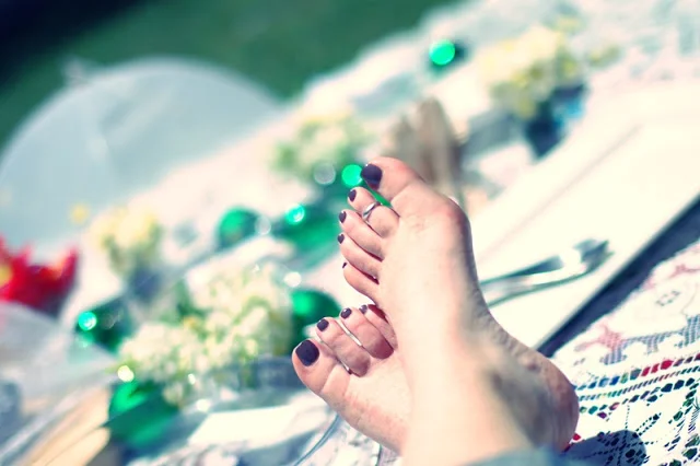 13th Annual Christmas Picnic !