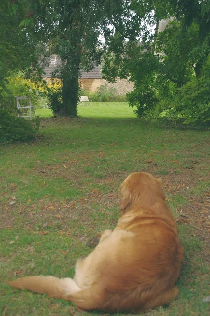 My Memories of Normandy !