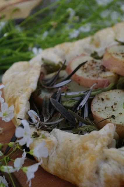 11th Annual Christmas Picnic !