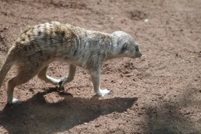 Finally.....Perfect Picnic Weather......