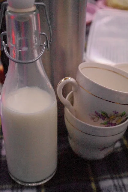 Picnic weather.....Not!